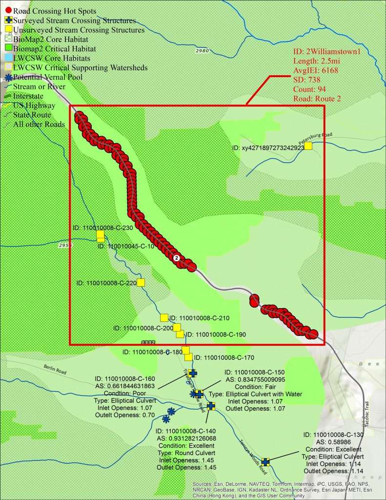 Connecting for Wildlife>Identification>Williamstown - Berkshire ...