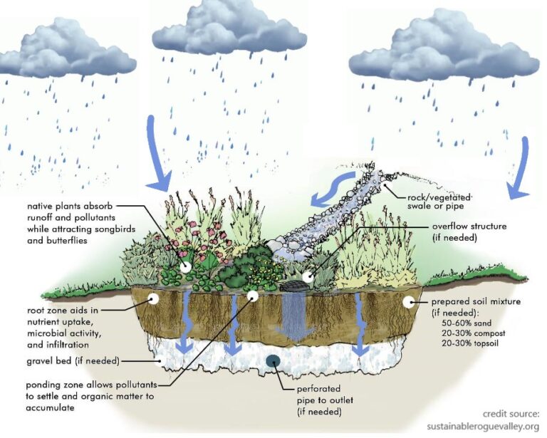 Rain Gardens - Berkshire Environmental Action Team