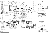 Figure 2: Investigation Locations, PCB Results, and Proposed Additional Investigations